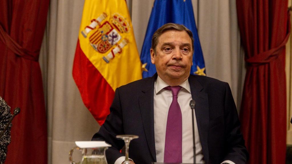 El ministro de Agricultura, Pesca y Alimentación, Luis Planas, en una imagen de archivo.