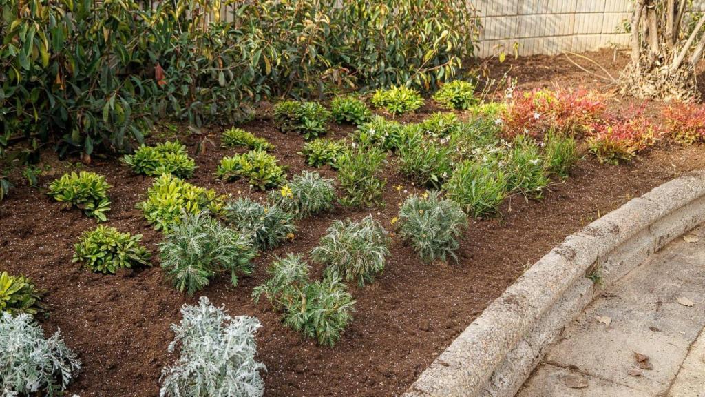 Novedades de la plaza Monsalud.