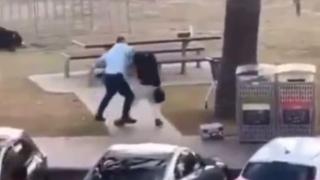 Momento en el que un asistente reduce a uno de los pistoleros del ataque terrorista de Bondi Beach, en Sídney (Australia).