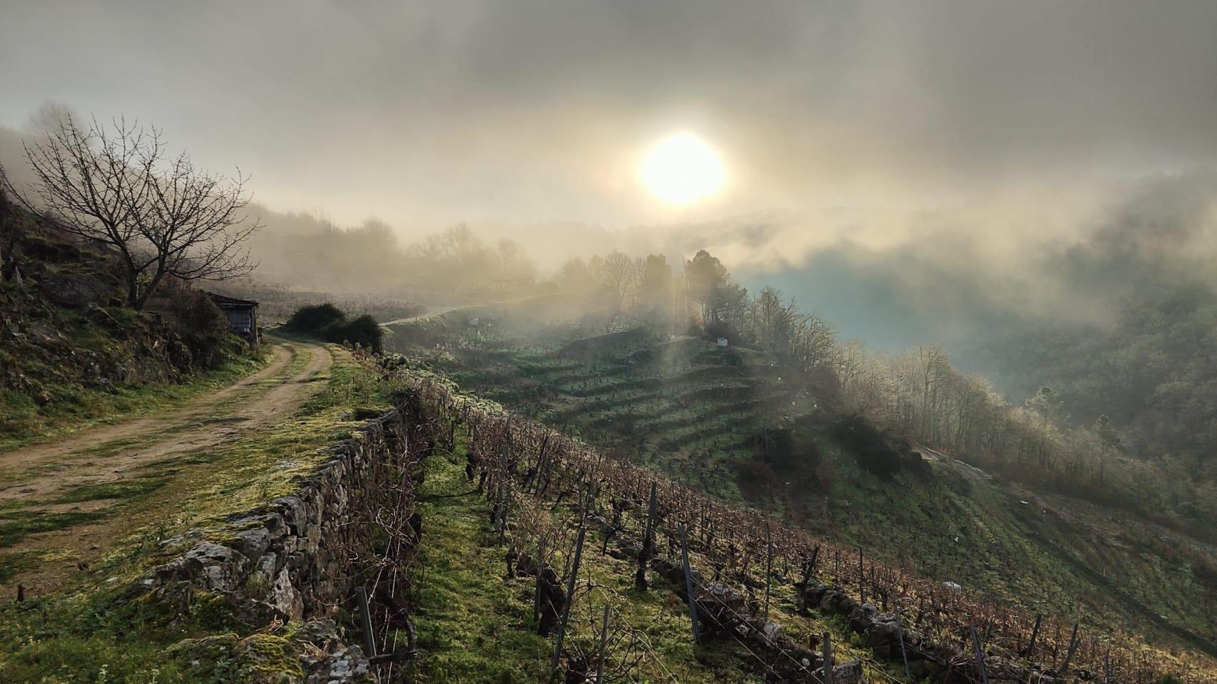 La fina de Pazo de Rivas en Sober.