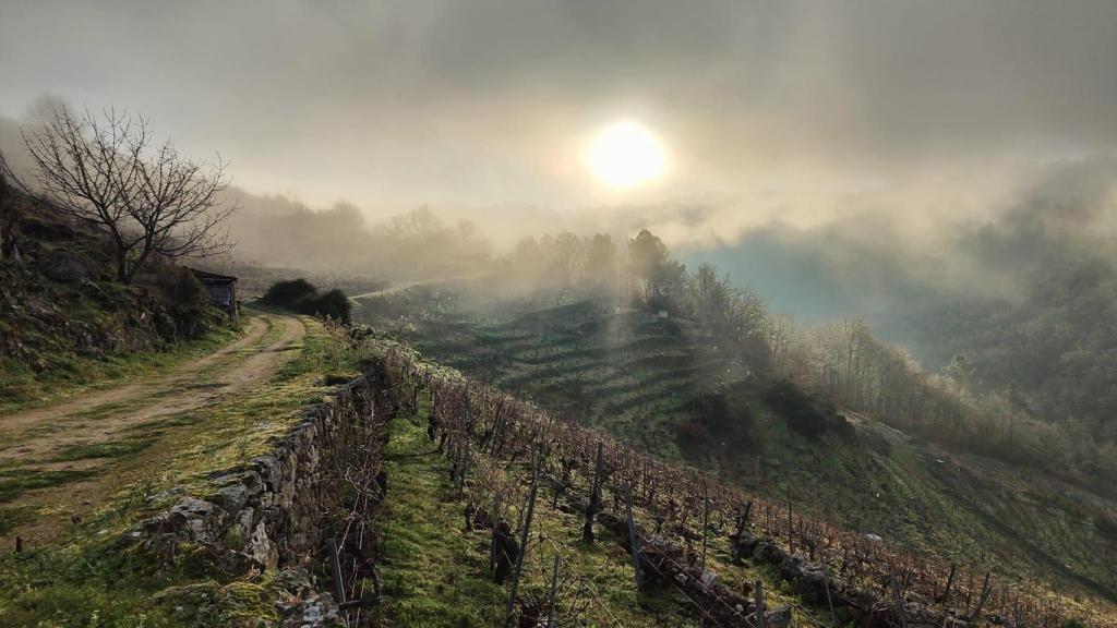 La fina de Pazo de Rivas en Sober.