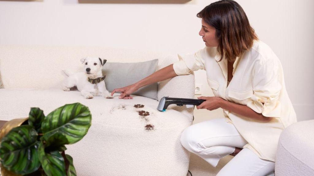 clean ainmal in5020 rowenta