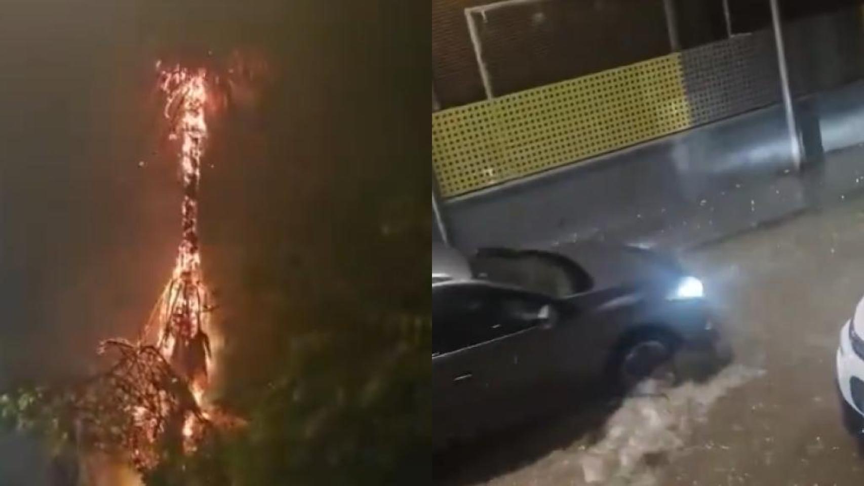 Una palmera ardiedno en Callosa de Segura, junto a una calle inundada en Orihuela.