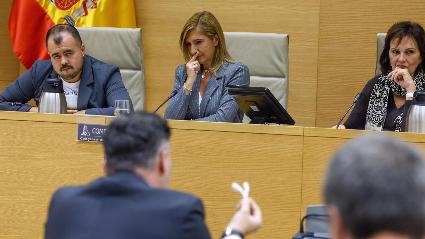 Salomé Pradas llora durante la comisión de investigación del Congreso. EFE/ Javier Lizón