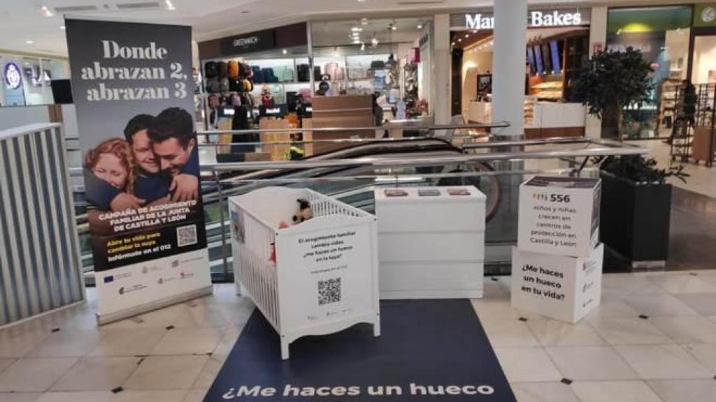 Vallsur se une a Cruz Roja para la búsqueda de familias de acogida