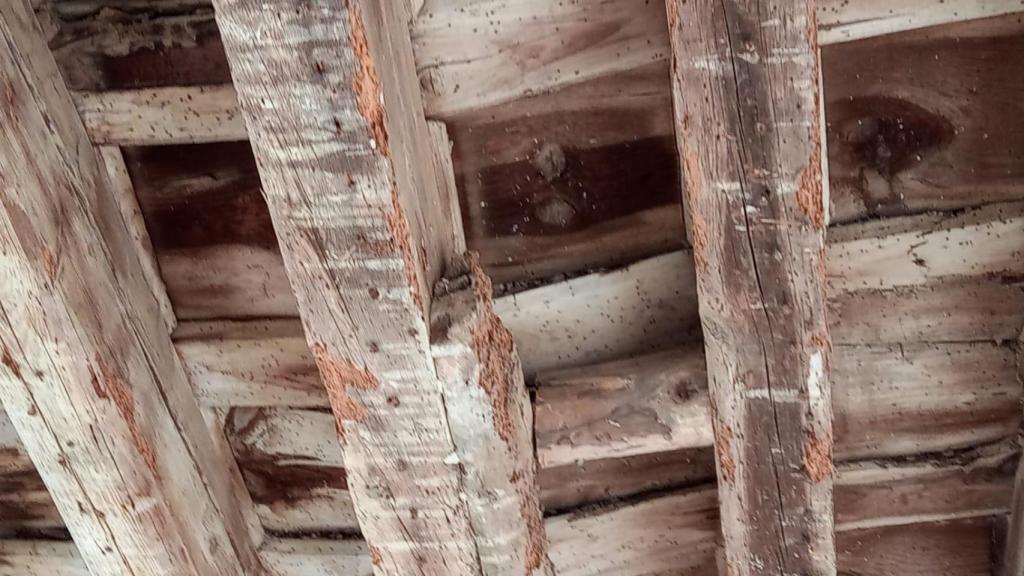 Estado de las vigas del monasterio