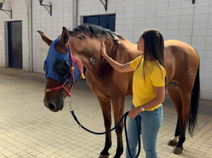 Ana con uno de sus caballos.