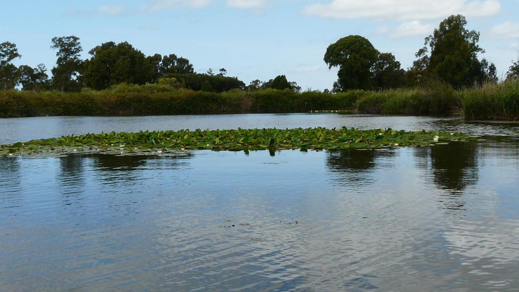La Laguna de las Madres, Huelva.