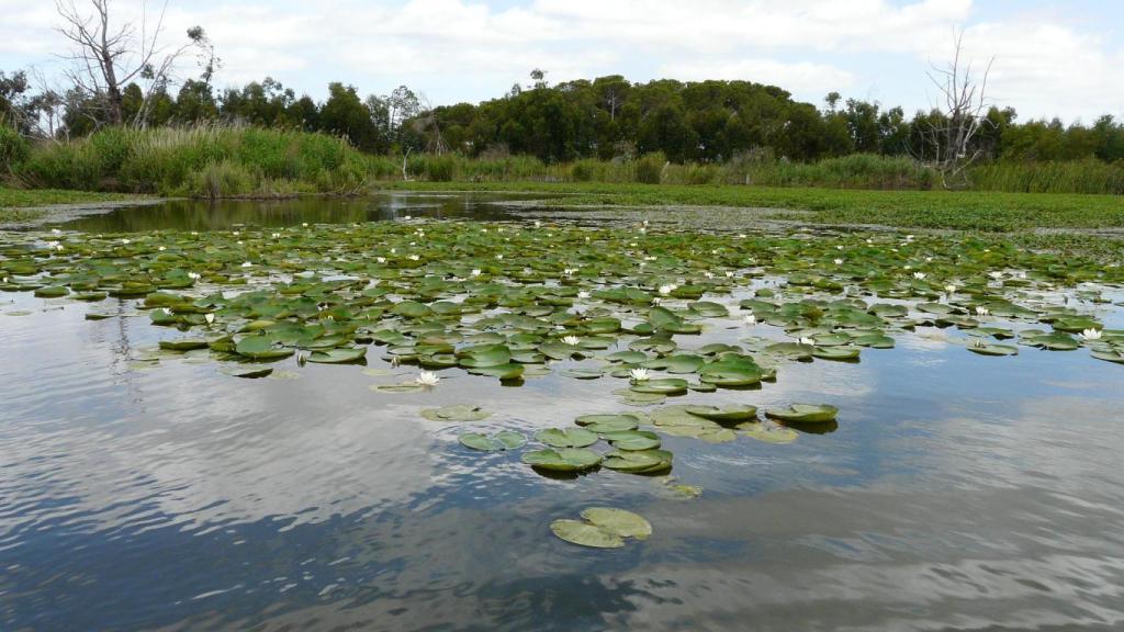 Catalina García y Teresa Mañueco han formalizado un acuerdo para desarrollar proyectos de recuperación en este espacio natural.