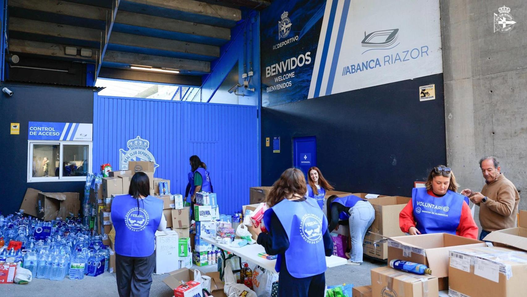 Imagen de una recogida anterior.