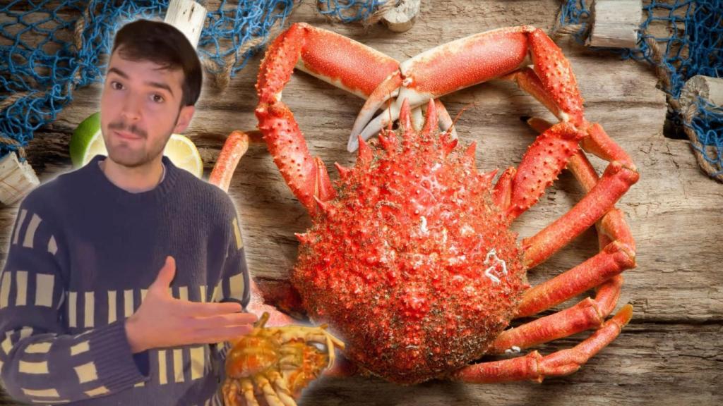 Arnau Subías y una centolla en un montaje de El Español