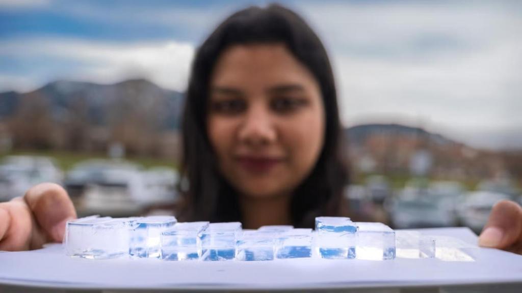 La investigadora Shakshi Bhardwaj sostiene bloques de MOCHI de diferentes tamaños.