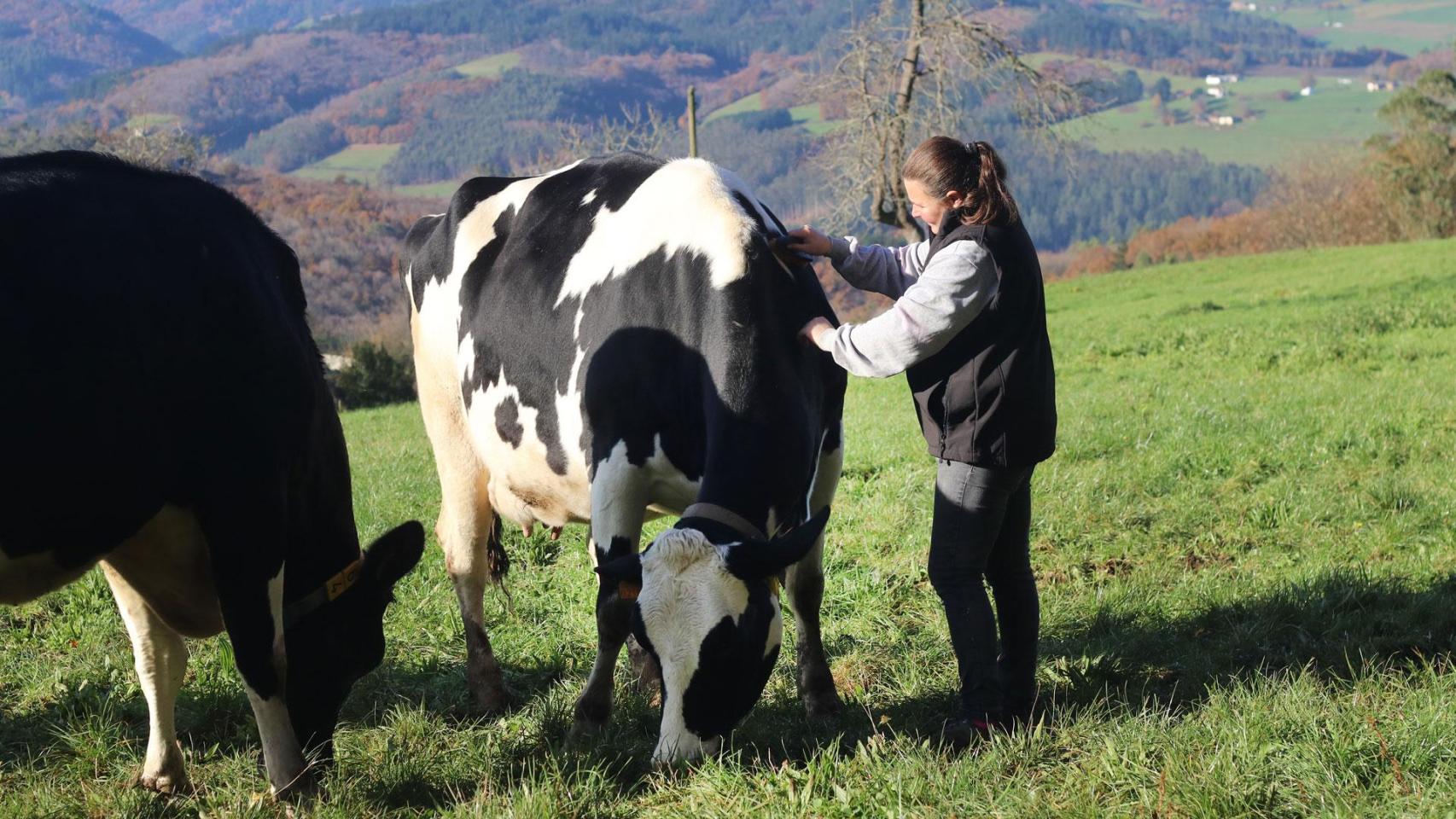 Cuidar desde el origen: salud, sostenibilidad y valor compartido