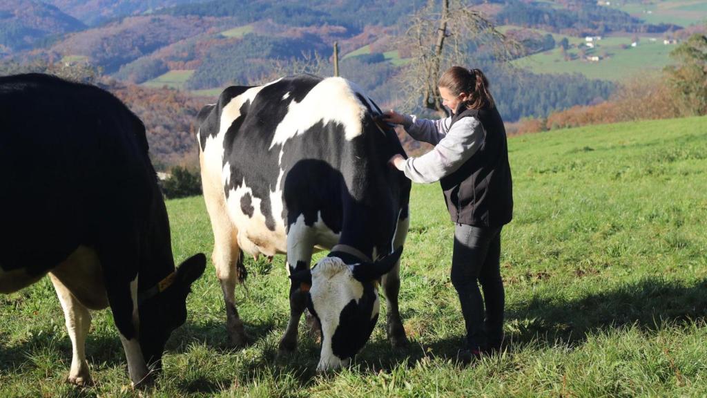 Cuidar desde el origen: salud, sostenibilidad y valor compartido