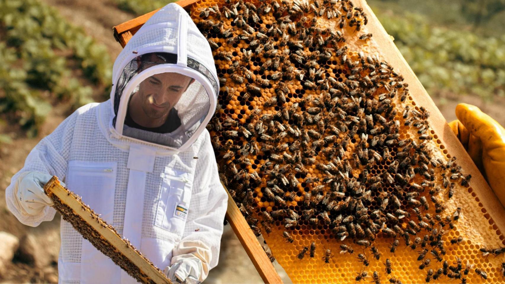 Fernando Ramón, apicultor.
