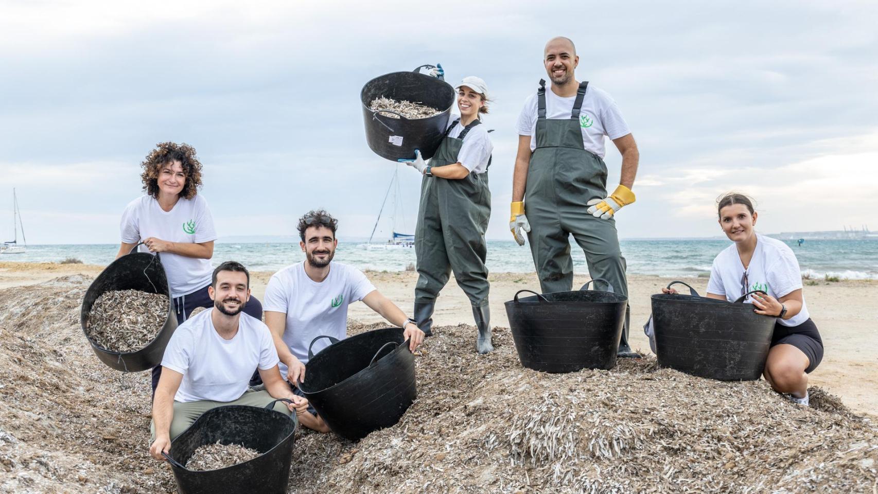 Miembros de Mediterranean Algae.