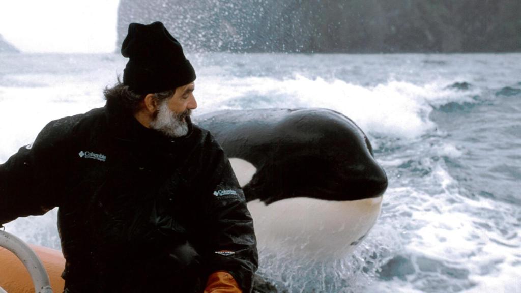 Charles Vinick y Keiko, la orca macho que protagoniza la película Free Willy, en Islandia.
