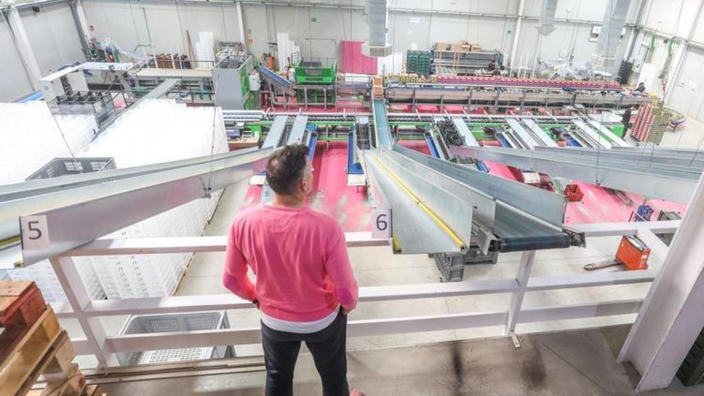 Sigfrido Molina observa el interior de su planta en Málaga.
