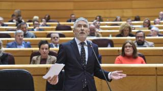 El ministro del Interior, Fernando Grande-Marlaska, interviene durante una sesión de control al Gobierno, en el Senado este martes.