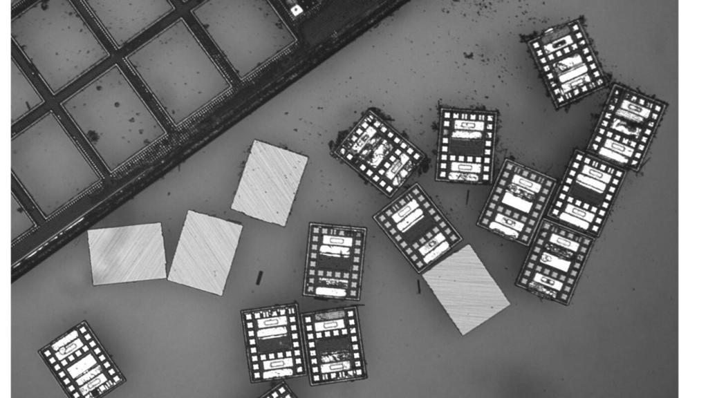 Microbots desarrollados por la Universidad de Pensilvania y Michigan