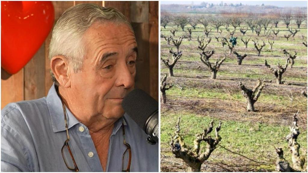 José Joaquín Moreno, agricultor.