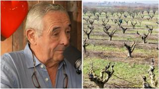 Joaquín, agricultor.