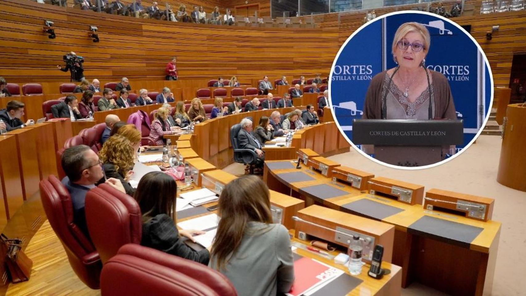 El pleno de las Cortes y la procuradora socialista Isabel Gonzalo, en un montaje de EL ESPAÑOL