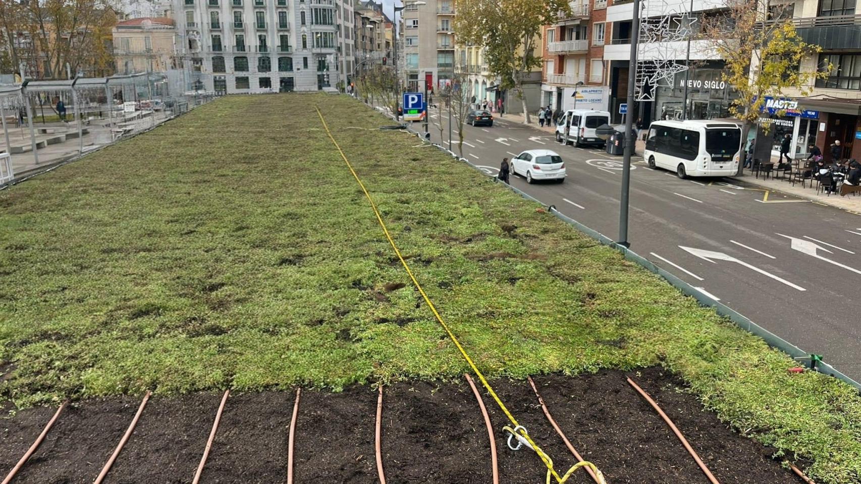 Instalación del jardín vertical en La Marina