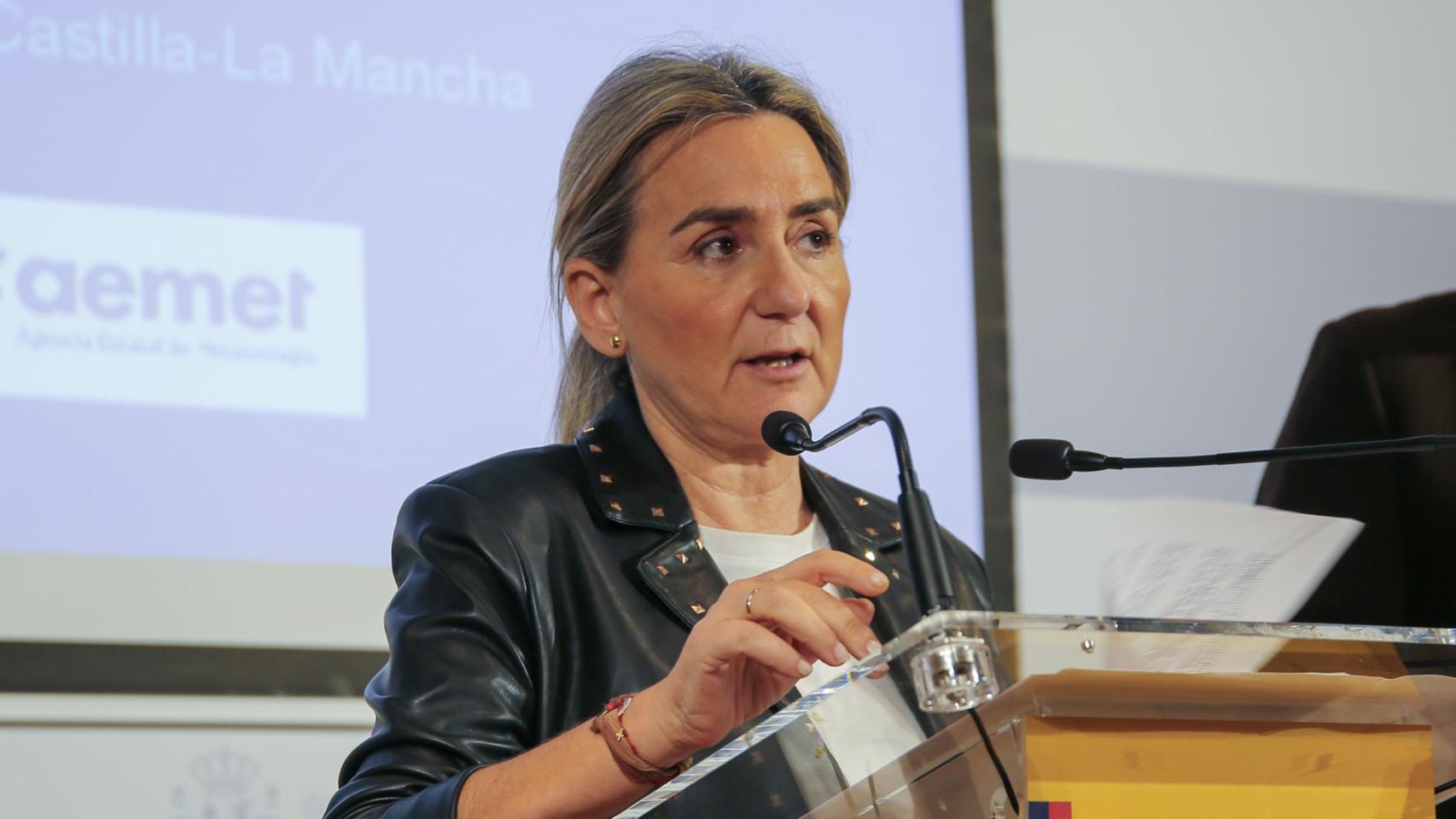 Milagros Tolón, delegada del Gobierno en Castilla-La Mancha.