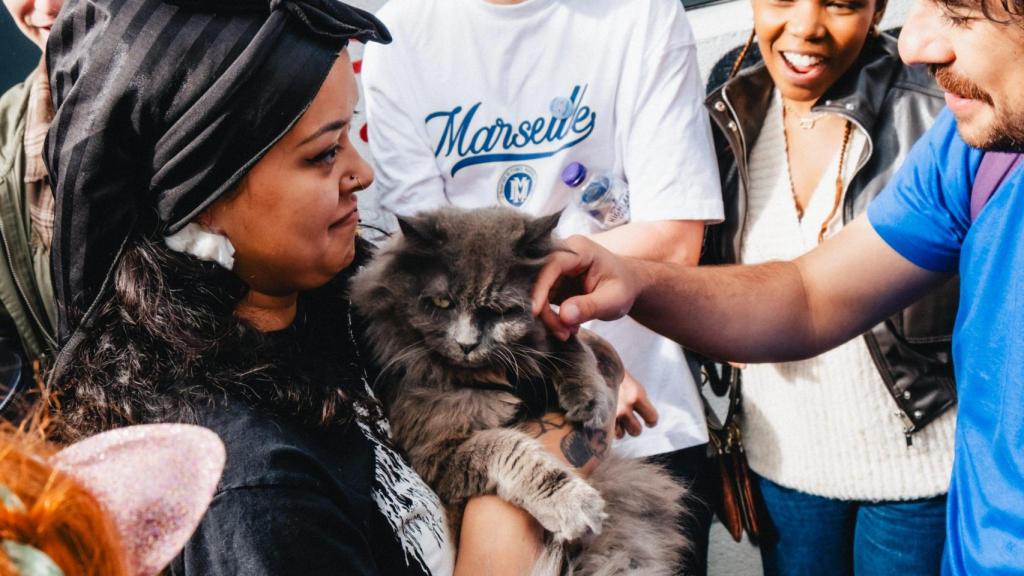 Stefan Gutierrez acariciando a un gato.
