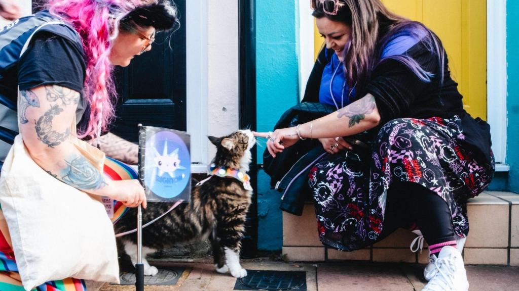 Dos chicas acariciando a un gato.