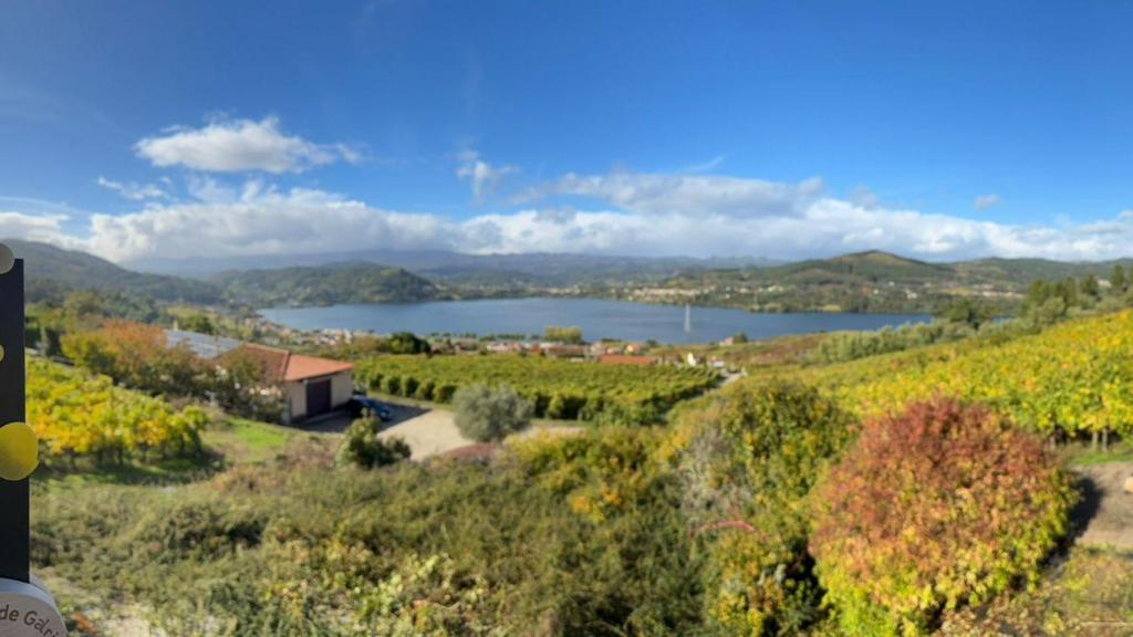 Bodega Eduardo Peña.