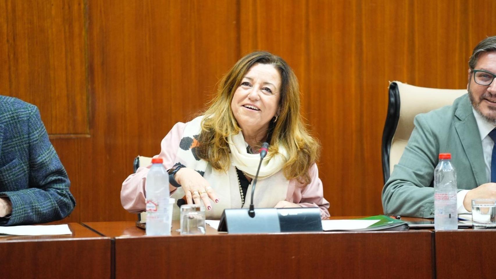 La consejera de Desarrollo Educativo y Formación Profesional, María del Carmen Castillo.