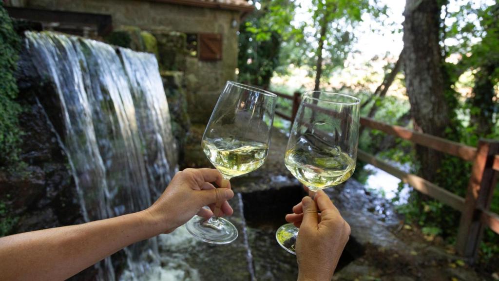 Copas de vino blanco