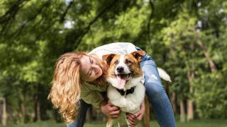 Un perro en un parque jugando con una chica.