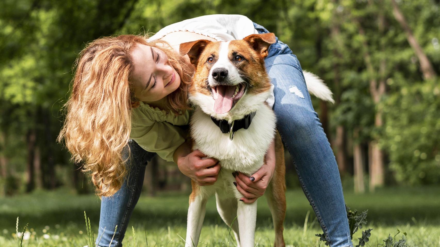 Un perro en un parque jugando con una chica.
