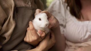 Un hámster en brazos de sus cuidadores.