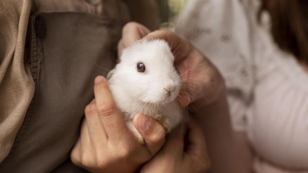 Un hámster en brazos de sus cuidadores.