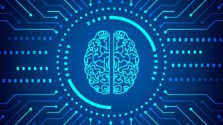 Cuando la investigación sale del laboratorio: un recorrido por la ciencia que marcó 2025