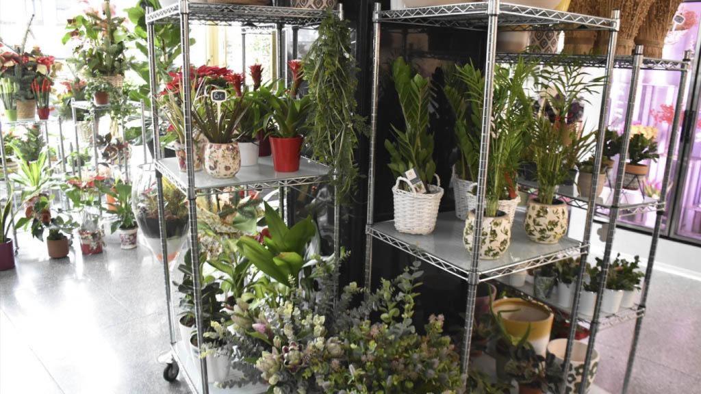 Flores en Mary Floristas.