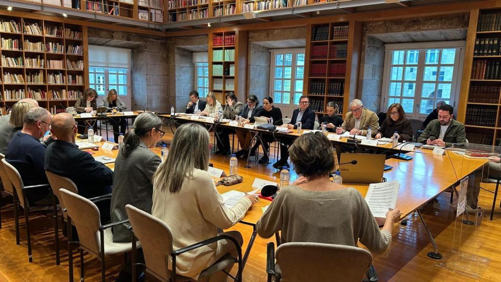 Santiago aprueba una declaración institucional en defensa de los estudios de Medicina