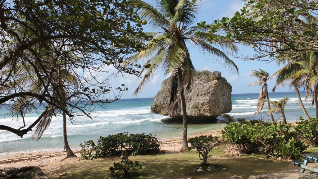 Una playa paradisiaca en Barbados.