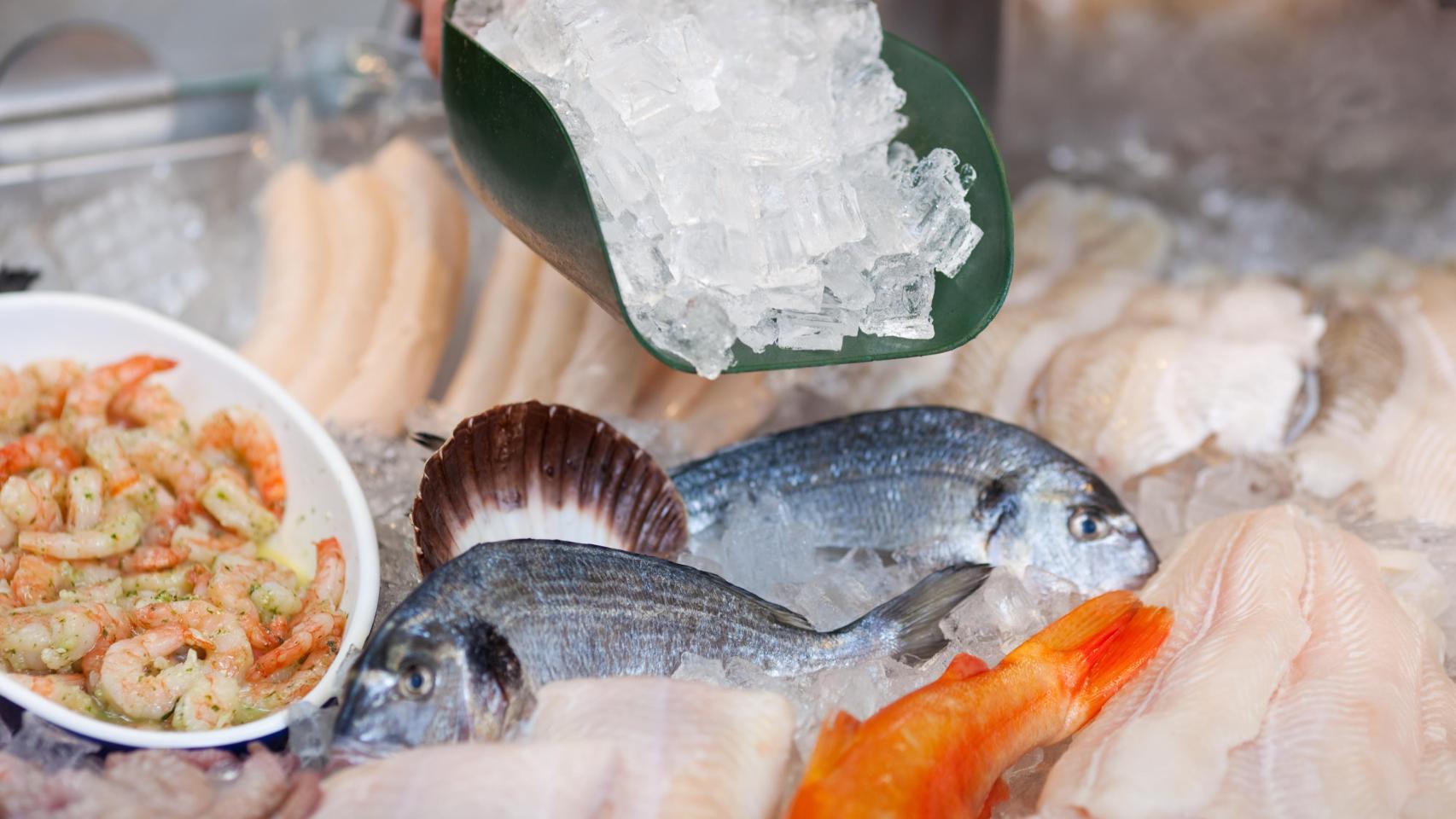 Un puesto con pescado fresco