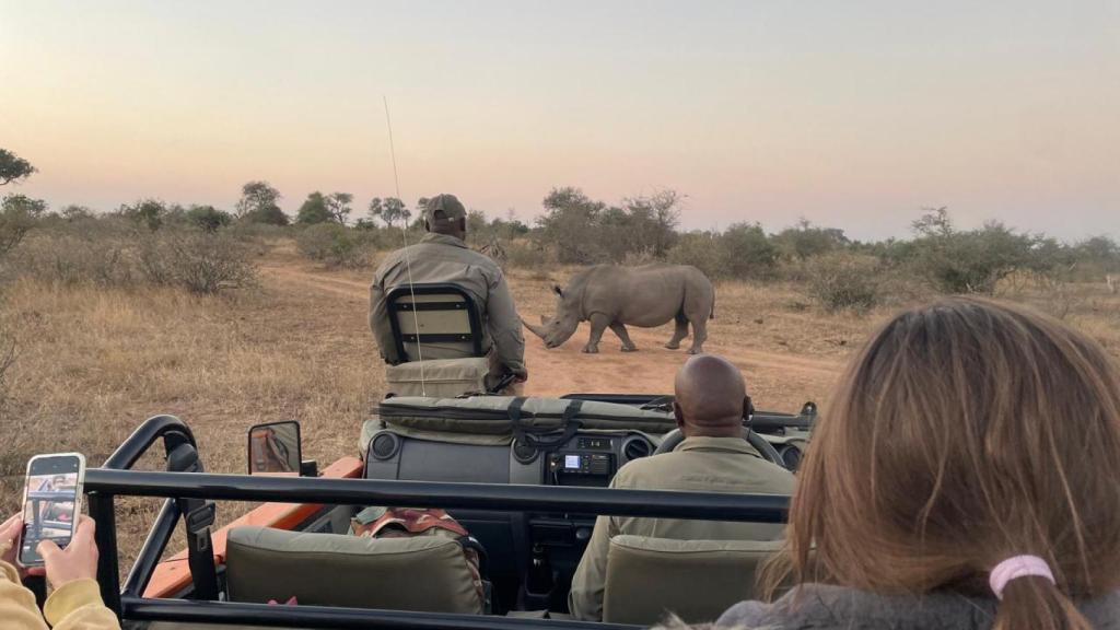 Una imagen de un safari.