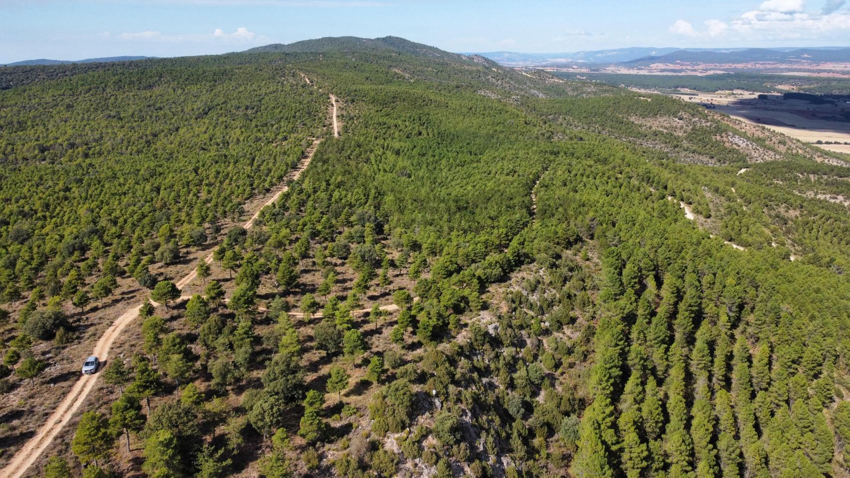 Sierra de Bascuñana en la que estará instalado el parque de Toroverde.