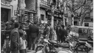 Imagen del mercadillo de animales de la Alfalfa.