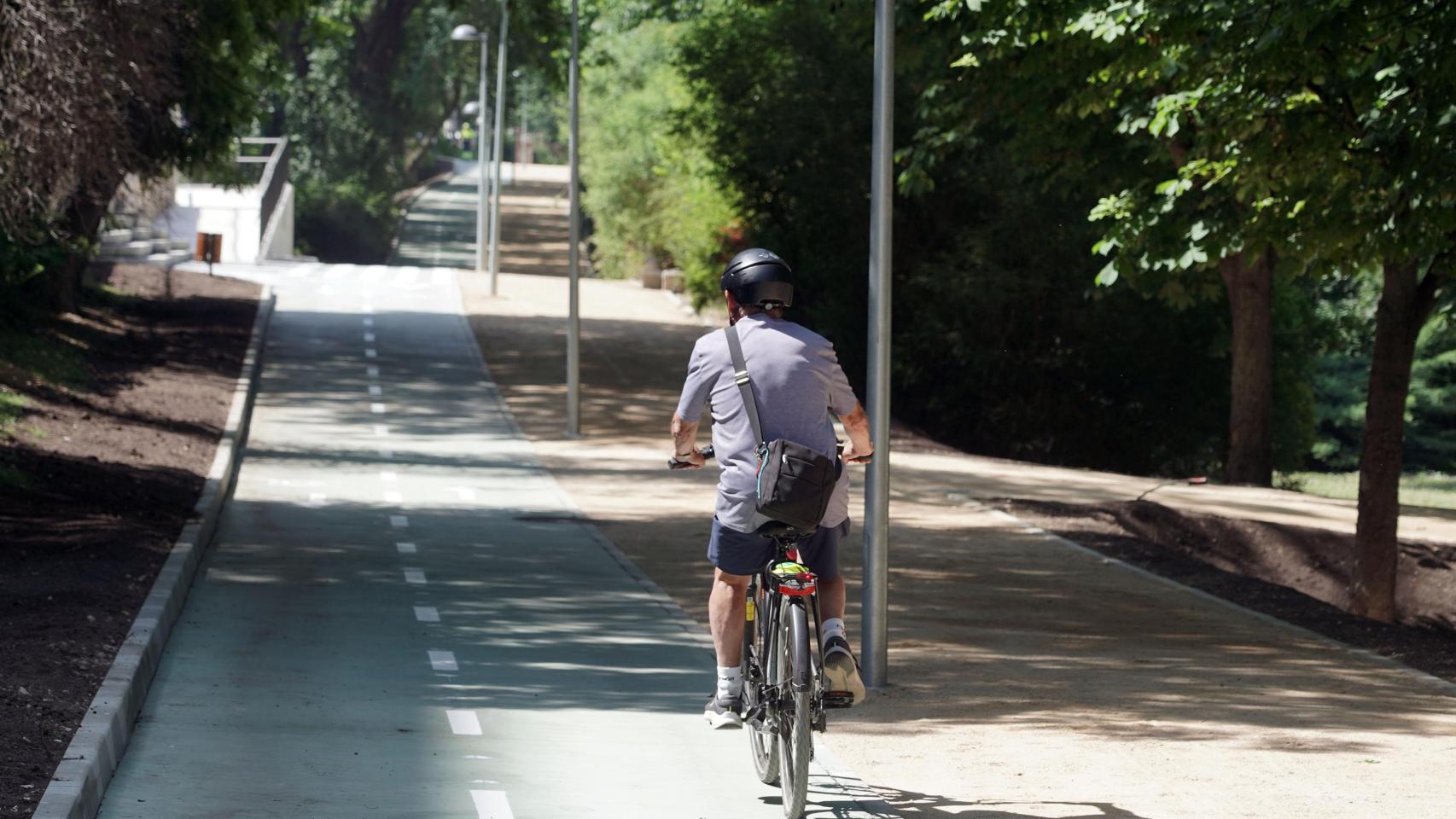 Carril bici del paseo Isabel la Católica