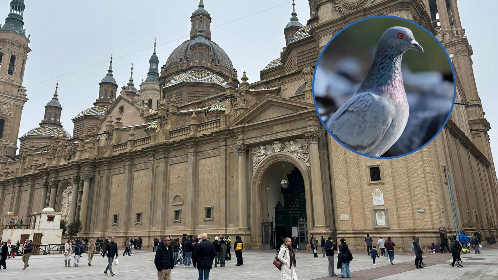 El proyecto garantizará el buen estado de las torres por muchas décadas.