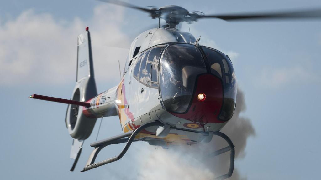 Colibrí de la Patrulla Aspa