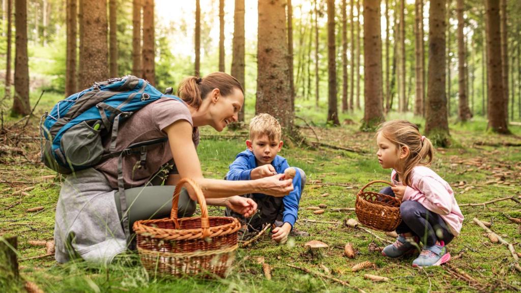 Niños buscando hongos.